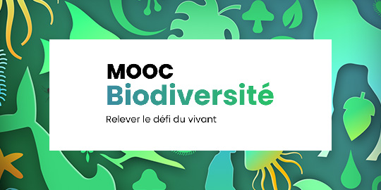 La Financière de l’Echiquier, partenaire du MOOC Biodiversité, Relever le défi du vivant