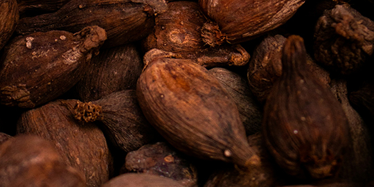 Kakaopreis auf Rekordhoch – mit bitterem Nachgeschmack